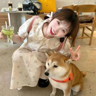 凹凸世界第四季