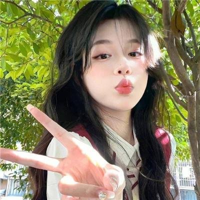 与森林共舞